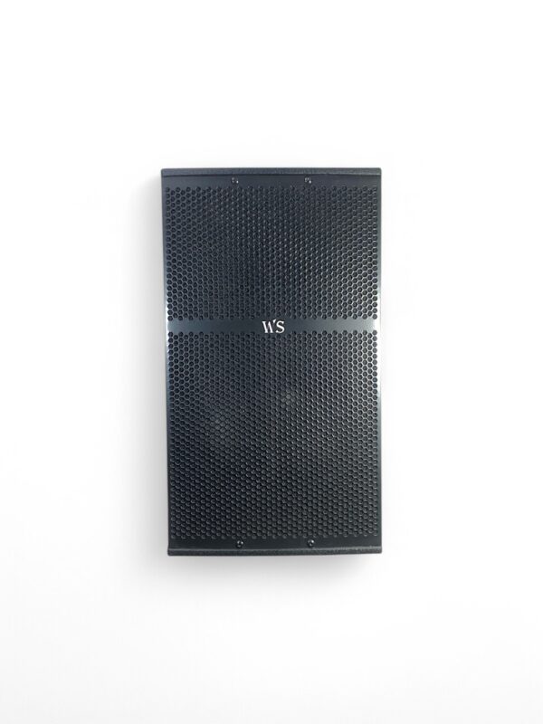 Diffusore attivo B. amplificato da 15 pollici 1000W rms dB spl 135  MOD: DS15-1000A - immagine 2
