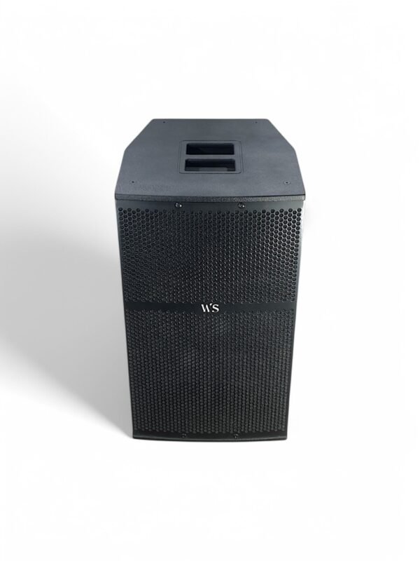 Diffusore attivo B. amplificato da 15 pollici 1000W rms dB spl 135  MOD: DS15-1000A - immagine 3