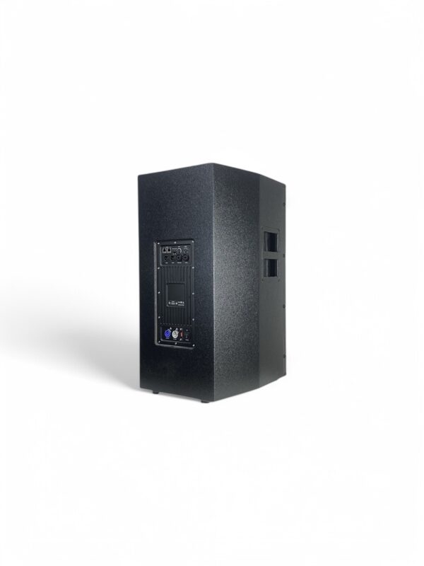 Diffusore attivo B. amplificato da 10 pollici 800W rms dB SPL 130 MOD: DS10-800A - immagine 4